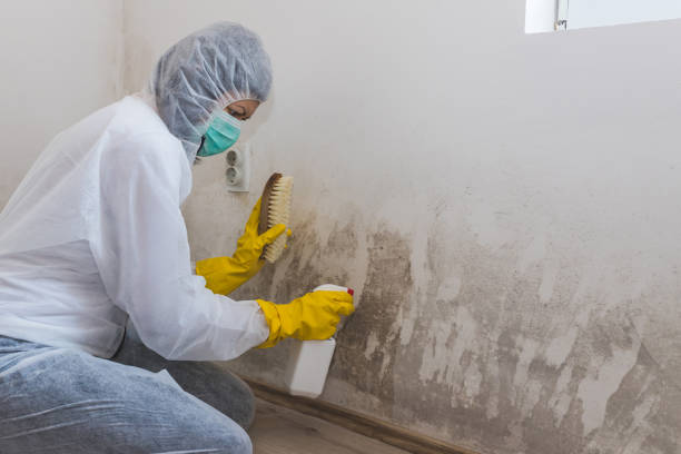 Best Residential Mold Removal  in Sour Lake, TX